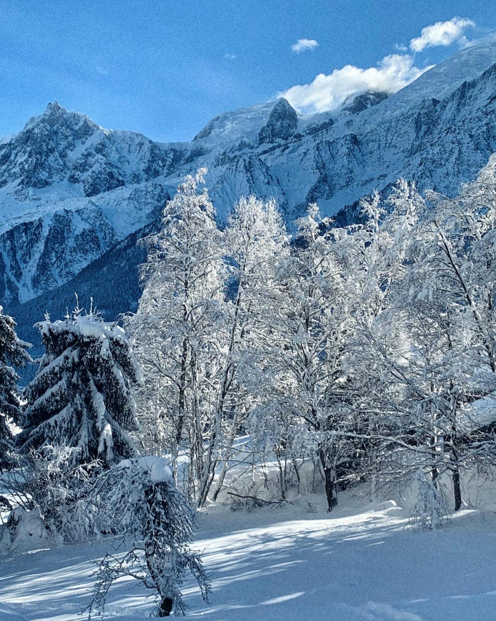 Chalet Vinales Les Houches Exterior foto